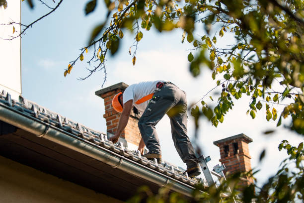 Best New Roof Installation  in Indian River, MI