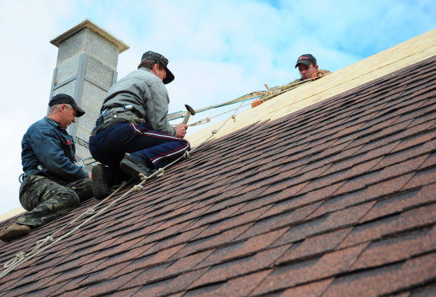 Residential Roof Replacement in Indian River, MI