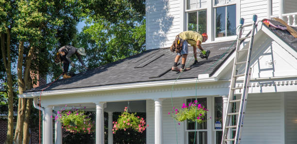 Best New Roof Installation  in Indian River, MI